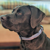 Murphy Complete Walking Set