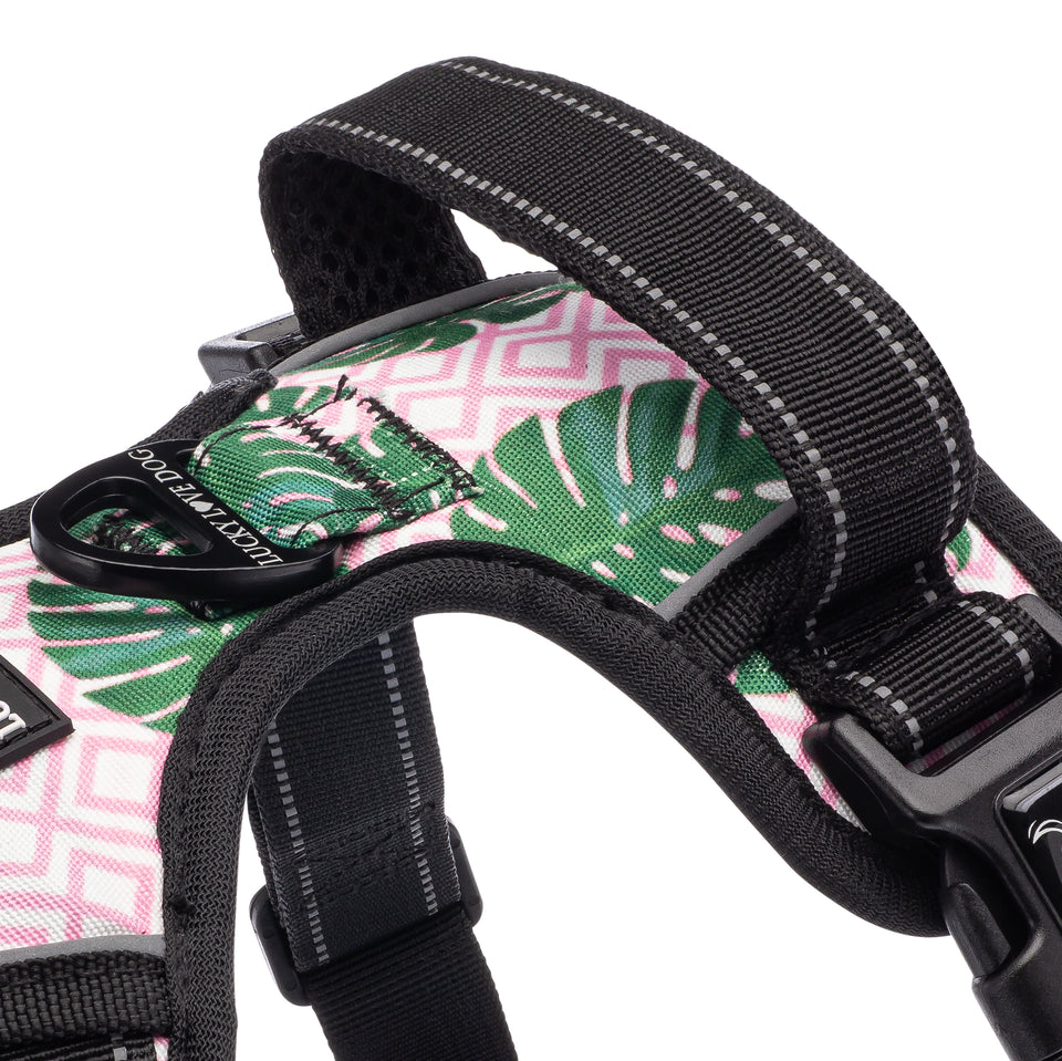 Easy Walker Laguna Pink Harness Wholesale