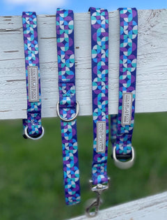 Set of blue and purple geometric-pattern Lucky Love Dog collars and leash