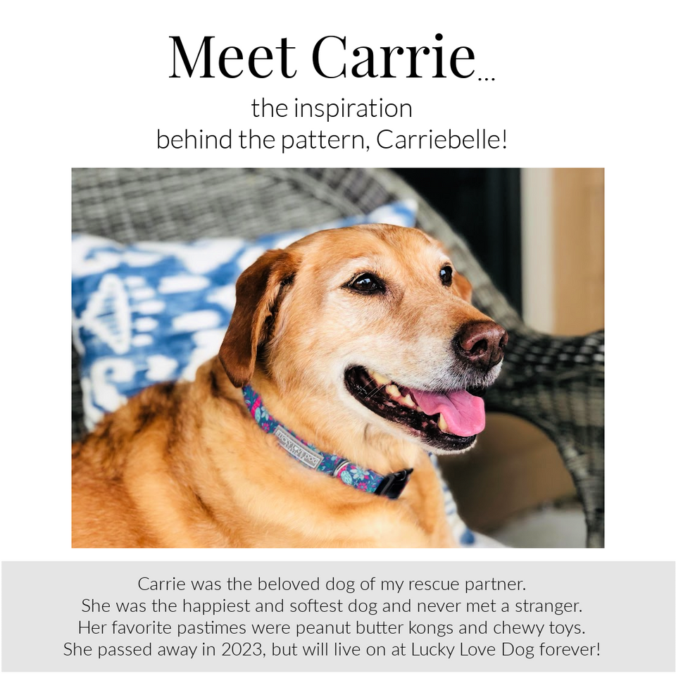 CarrieBelle Martingale