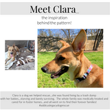 Clara Complete Walking Set