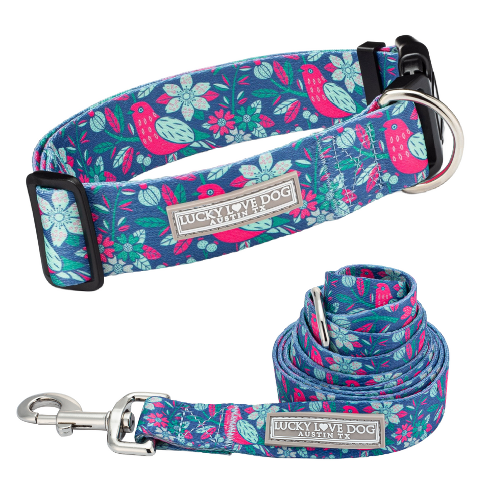 WIDE Carriebelle Collar Wholesale