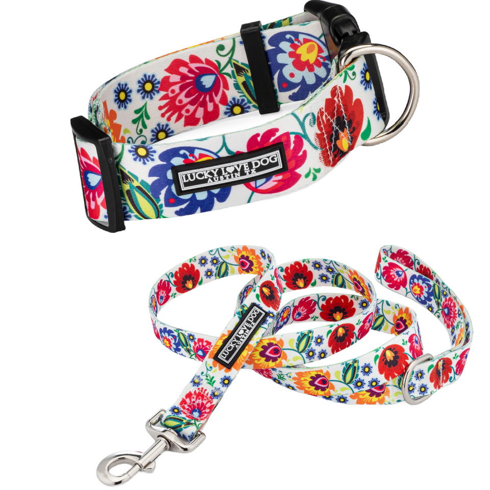 WIDE Ladybird Collar Wholesale