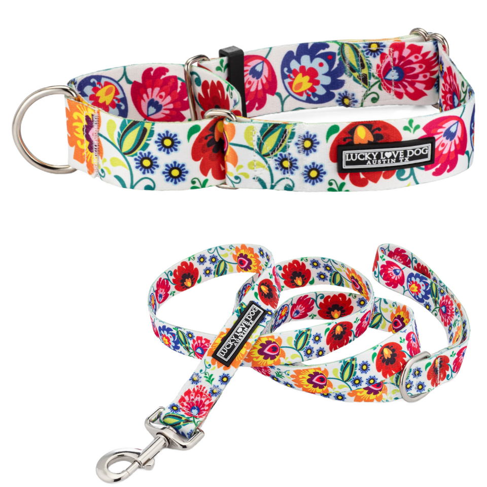 WIDE Ladybird Martingale Collar Wholesale