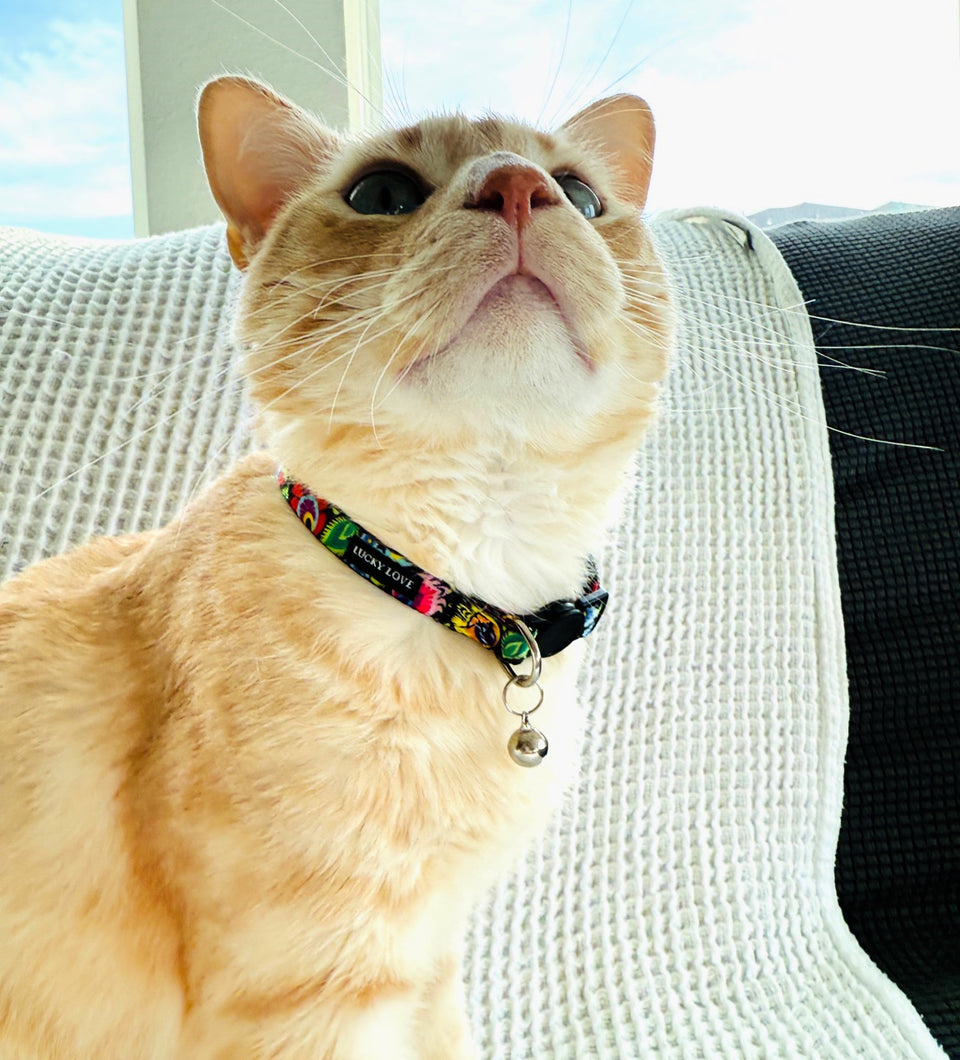 A close-up of an orange tabby cat wearing a colorful patterned cat collar with a silver bell, sitting on a white textured blanket.