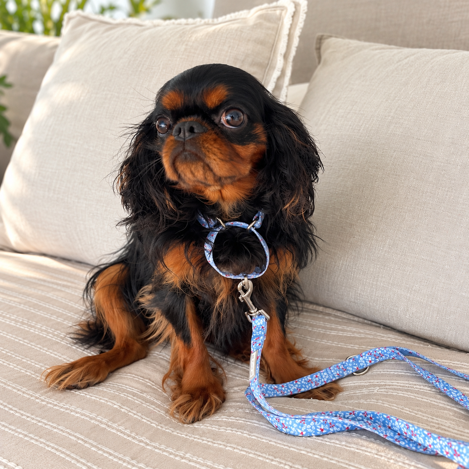Winter Blue Martingale