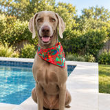 reversible red and green bandana on a dog