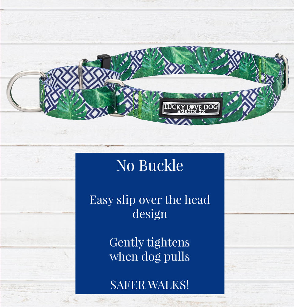 Laguna - Blue Martingale