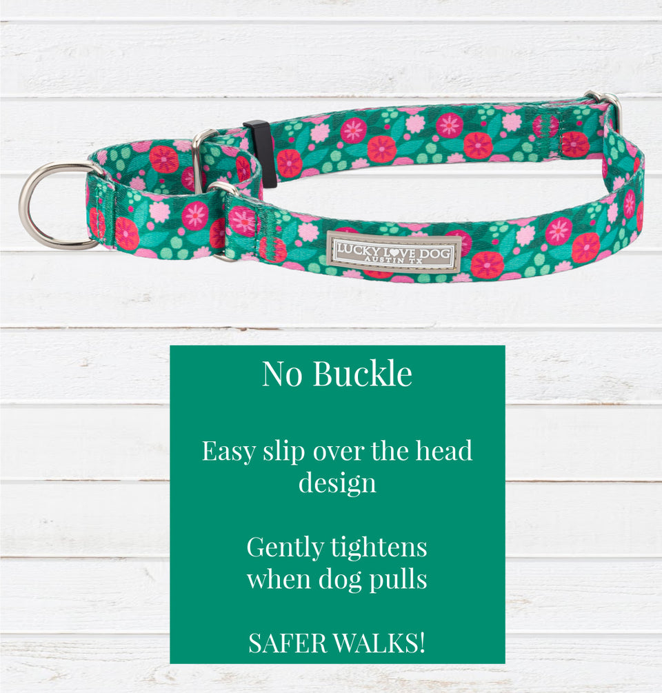 Penny Martingale