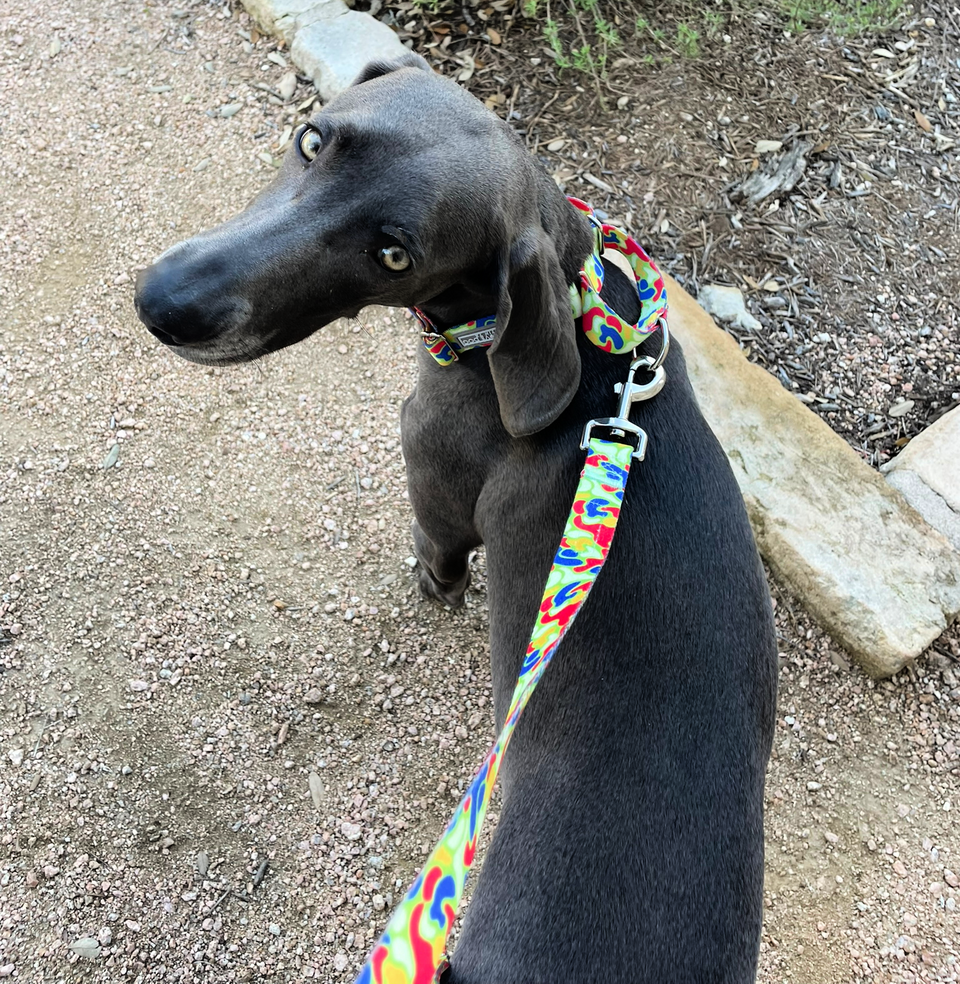 Oscar Martingale