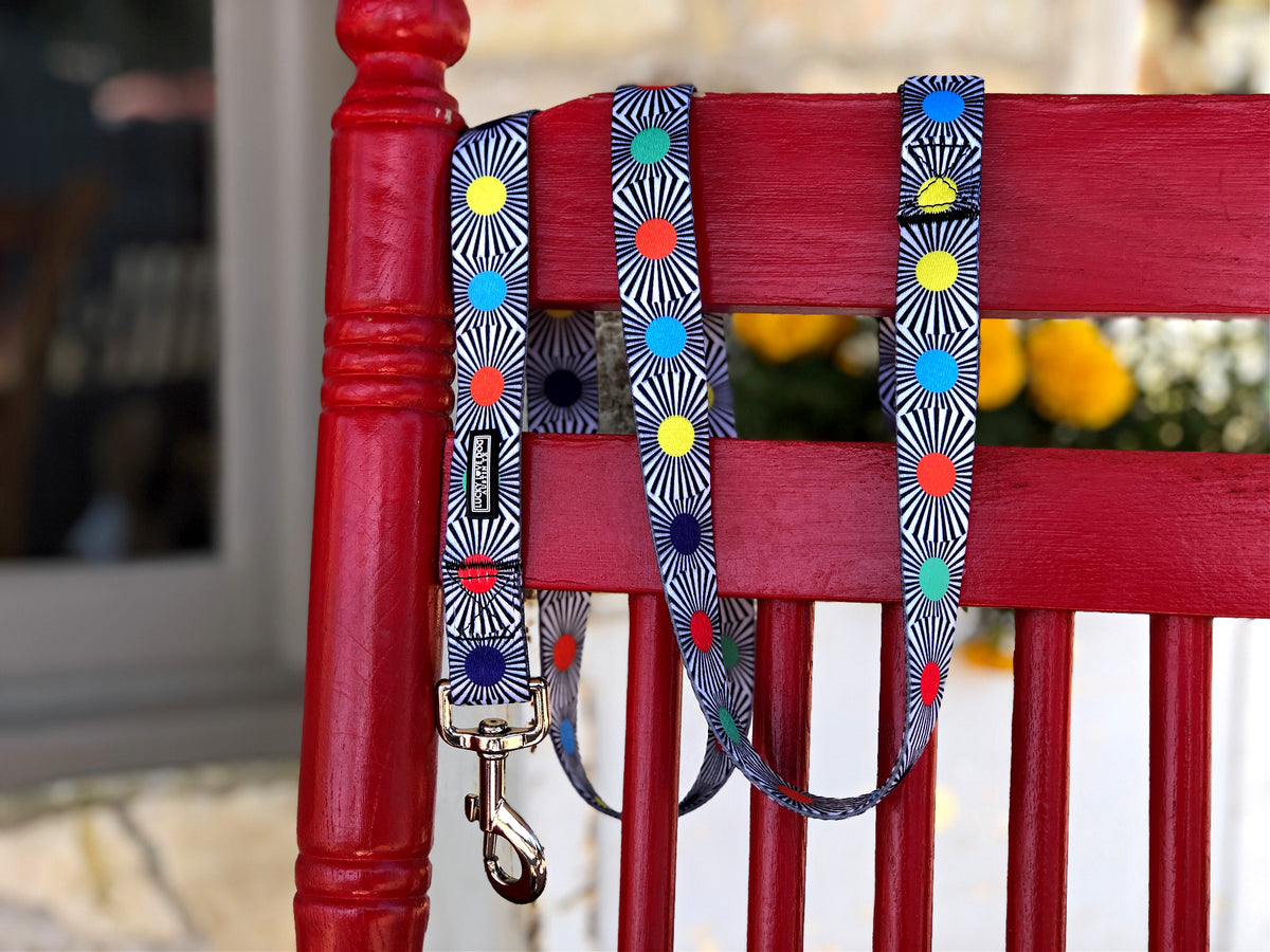 Colorful polka-dot dog leash draped over a red wooden chair.