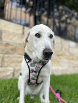 Easy Walker Laguna Pink Harness