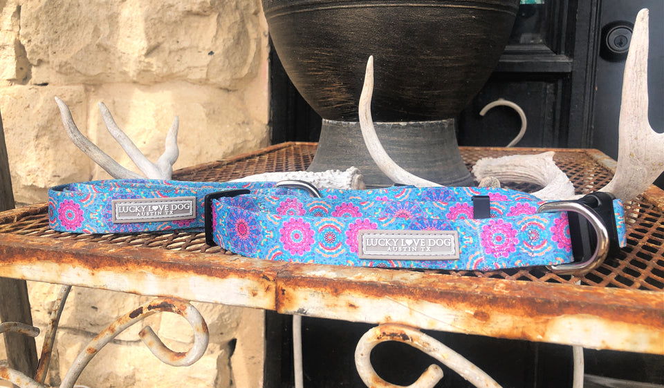 Clara Dog Collar