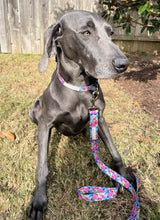 Gray dog sitting on grass wearing a colorful floral Lucky Love Dog collar and leash.