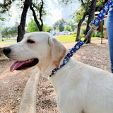 Leash Bundle- Wholesale