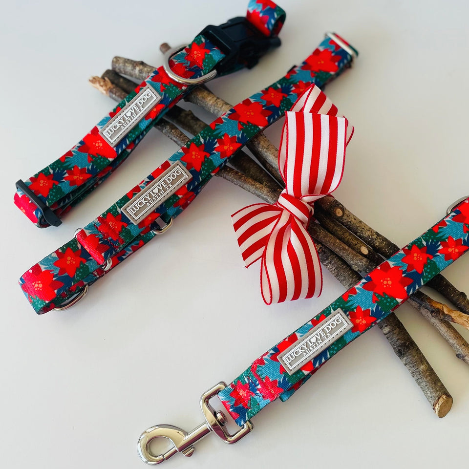 Red poinsettia-themed Lucky Love Dog collars and leash displayed with festive sticks and a striped holiday bow.