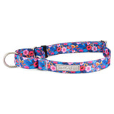 Martingale Collar Bundle - Wholesale