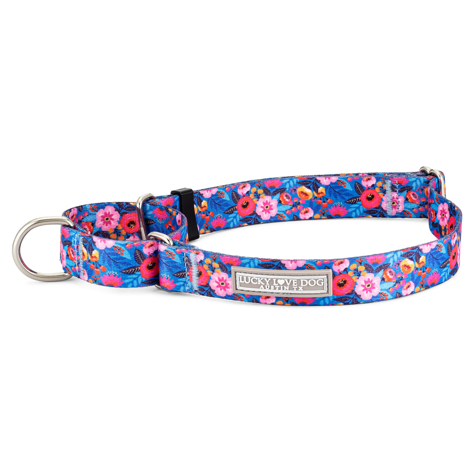 Martingale Collar Bundle - Wholesale