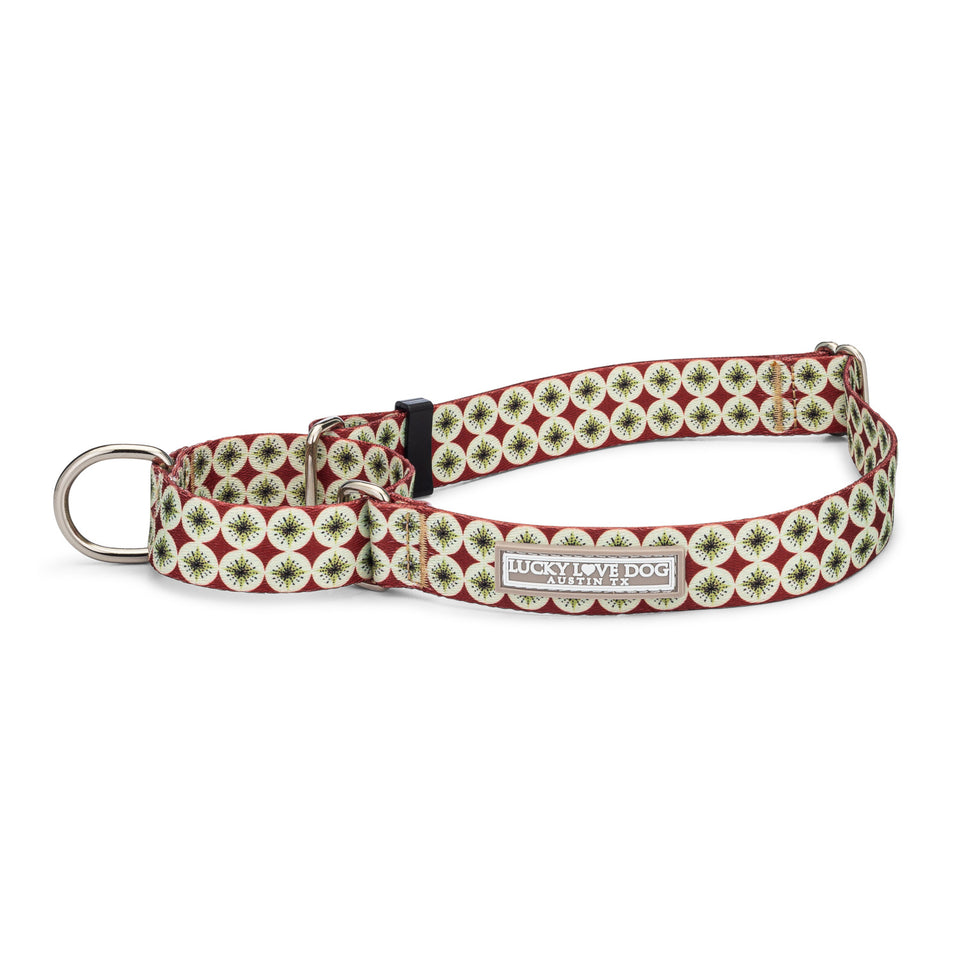 Red and white patterned Lucky Love Dog martingale collar.