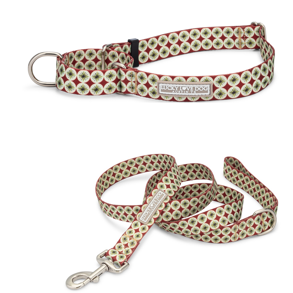 Matching Lucky Love Dog collar and leash set with a green and red holiday pattern.