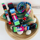 Nacho Complete Walking Set