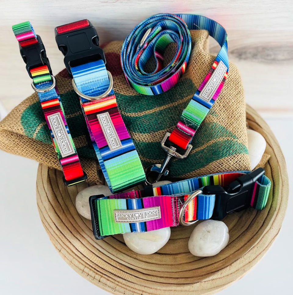 Nacho Complete Walking Set