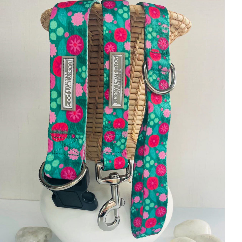 Penny Complete Walking Set