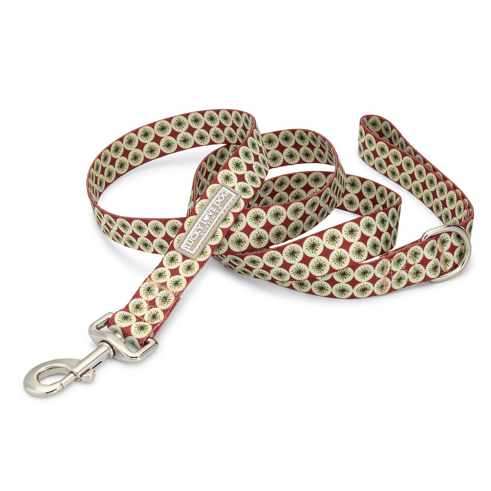 Holiday-themed Lucky Love Dog leash with green and red patterned design.