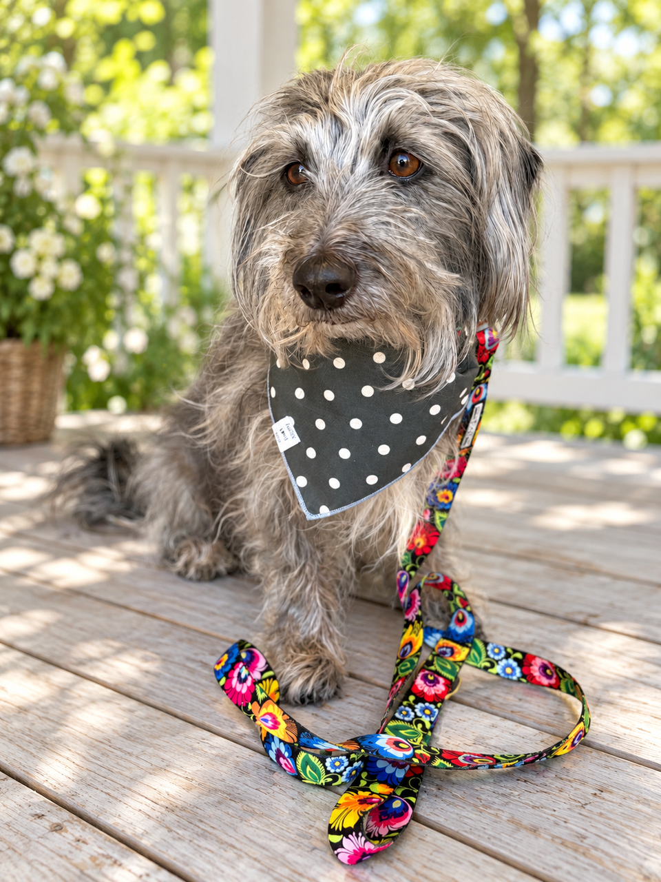 Blackbird Bandana