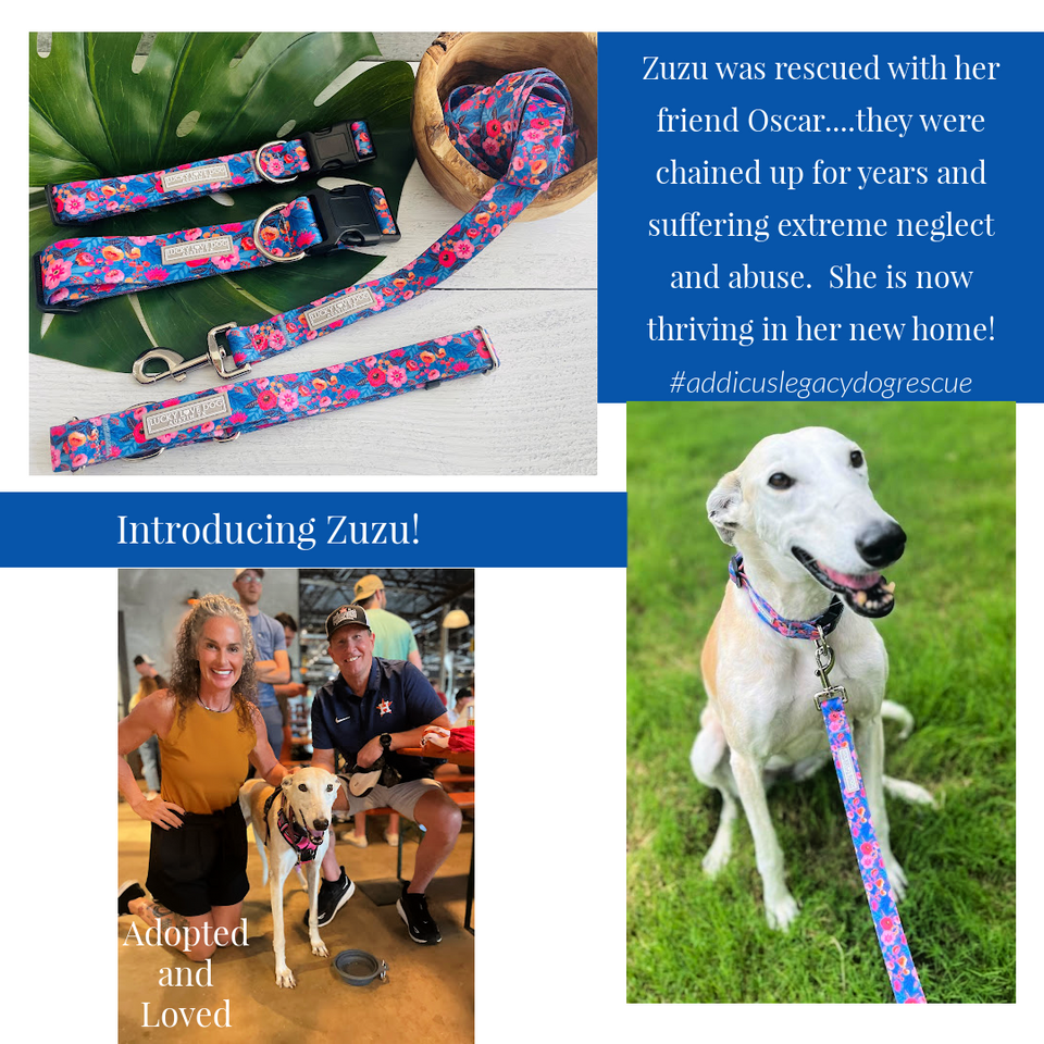 Zuzu Martingale Wholesale