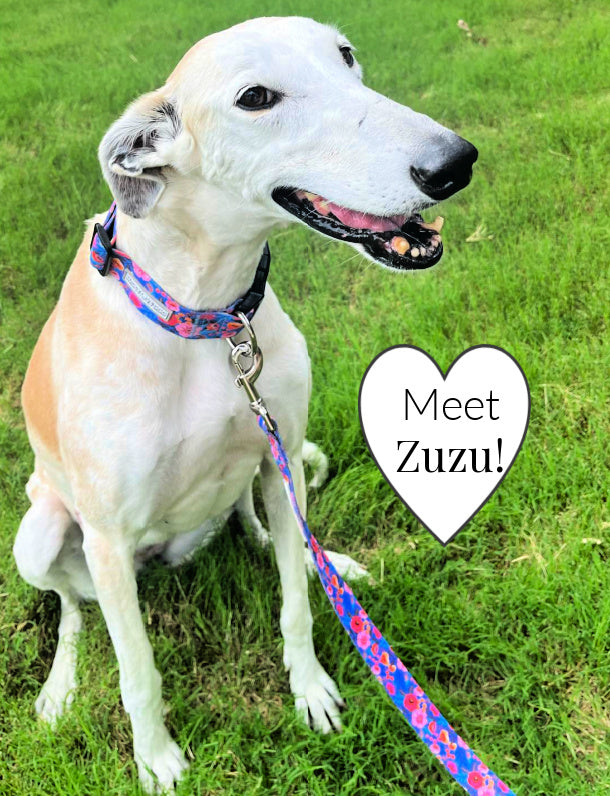 pink and blue floral collar leash combo