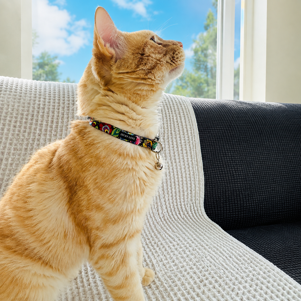 An orange tabby cat wearing a colorful patterned cat collar sits on a white textured sofa next to a window with a view of blue sky and trees.