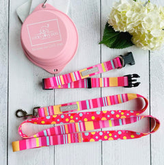 Molly Dog Collar