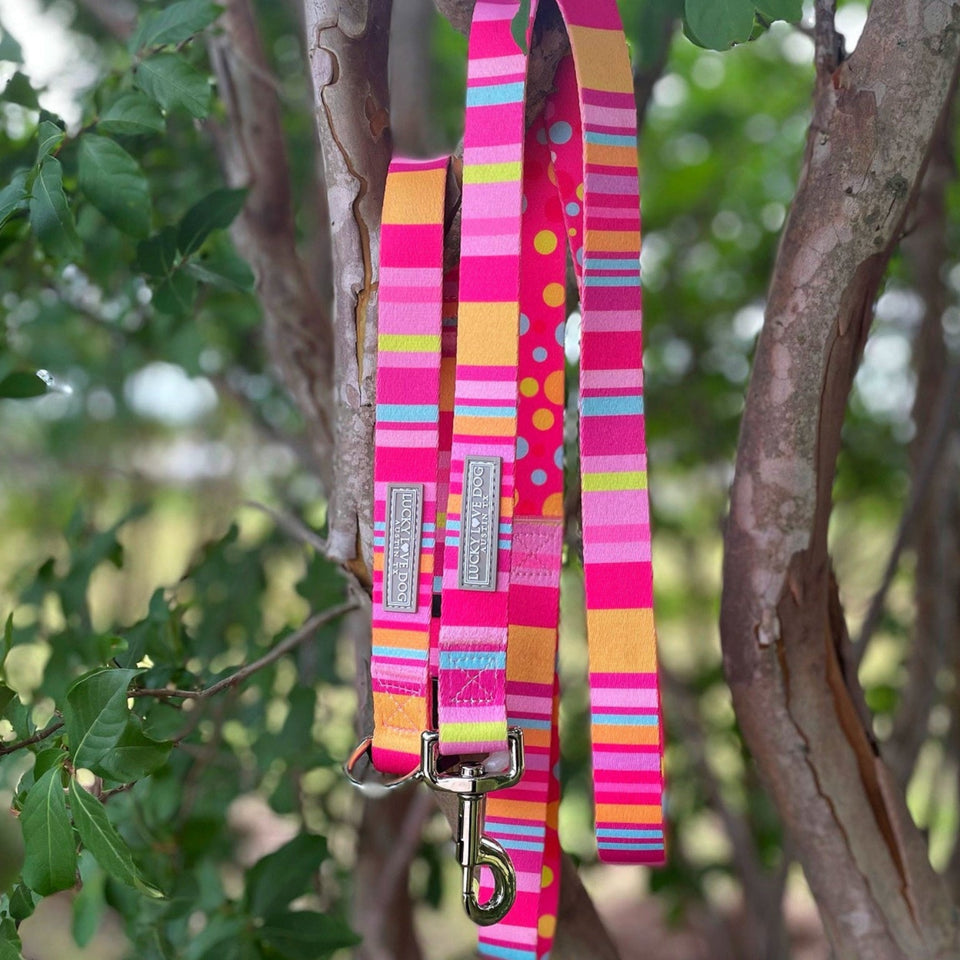 Molly collar and leash set