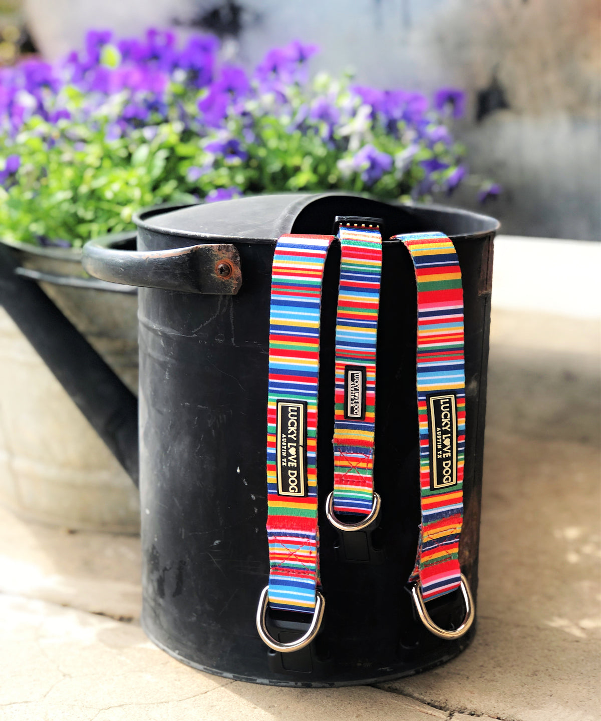 Colorful striped dog harnesses by Lucky Love Dog Austin, displayed on a black metal bucket with vibrant purple flowers in the background.