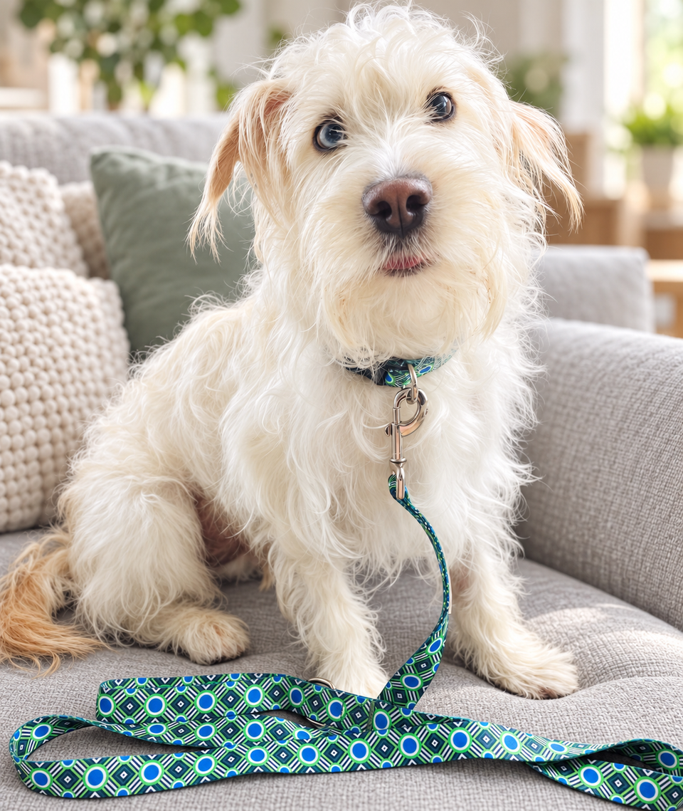 leo dog collar and leash set