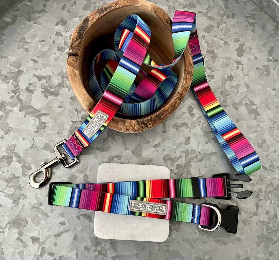fiesta striped dog collar and dog leash