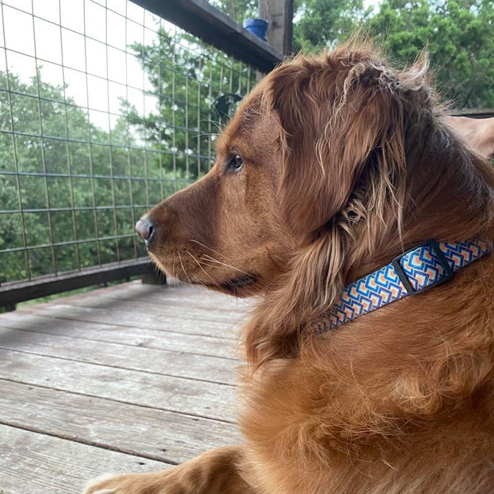 Murphy Complete Walking Set