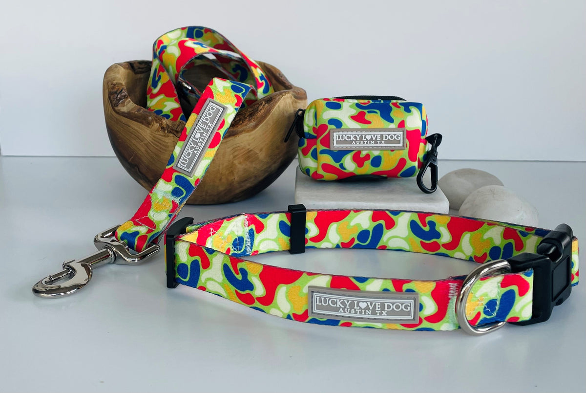 Colorful dog collar, leash, and waste-bag holder with a bright multicolor camo pattern