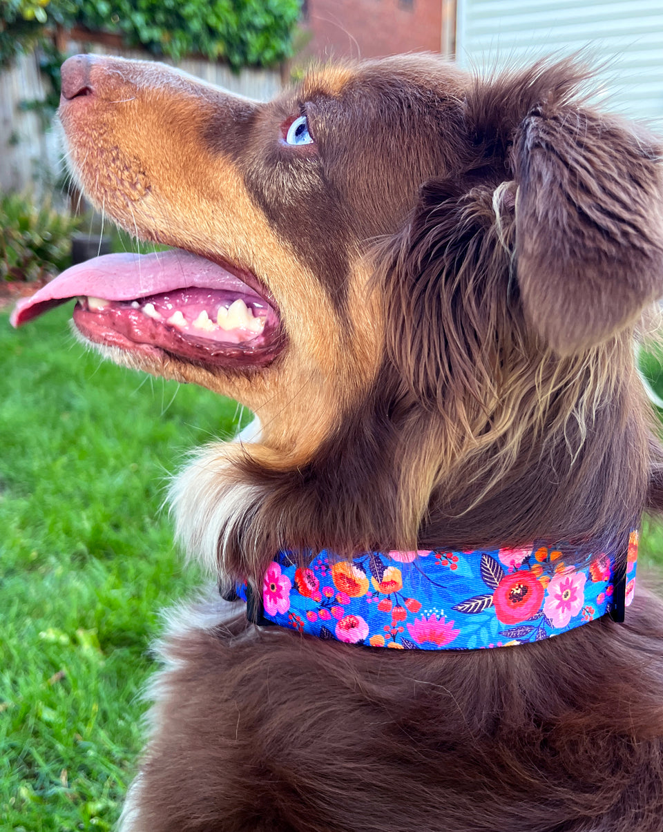 WIDE Zuzu Collar Wholesale
