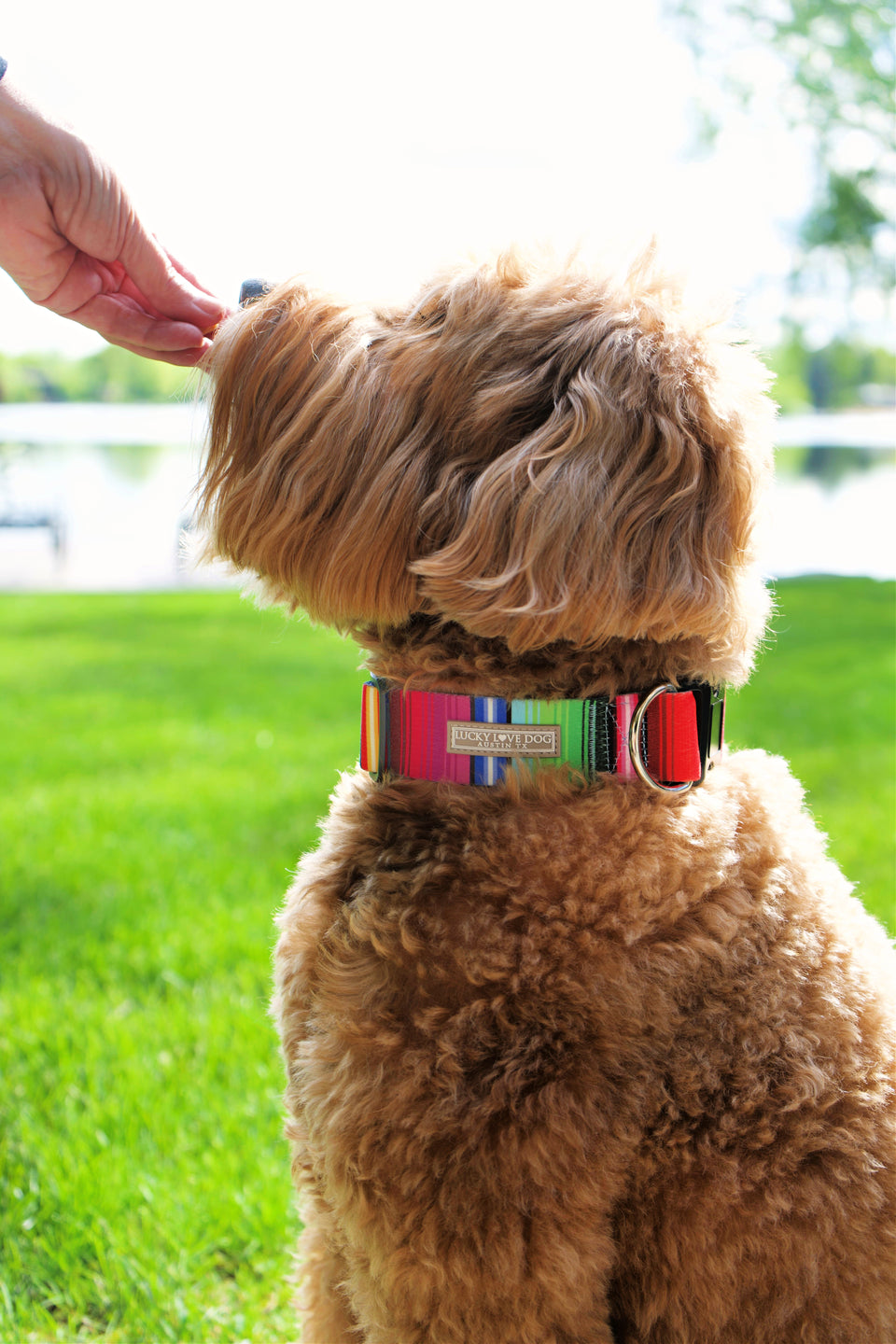 WIDE Nacho Collar Wholesale