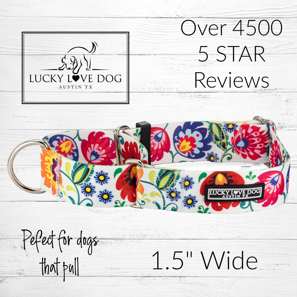 WIDE Ladybird Collar