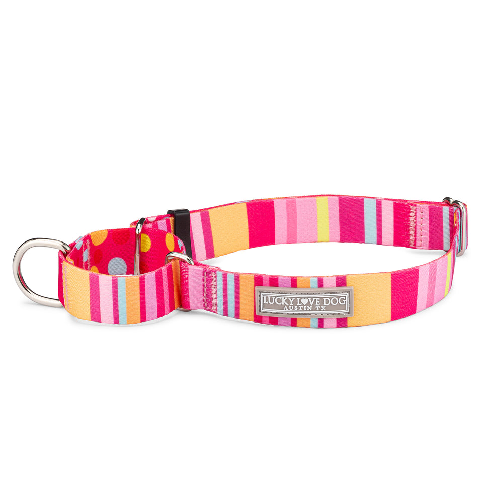 Martingale Collar Bundle - Wholesale