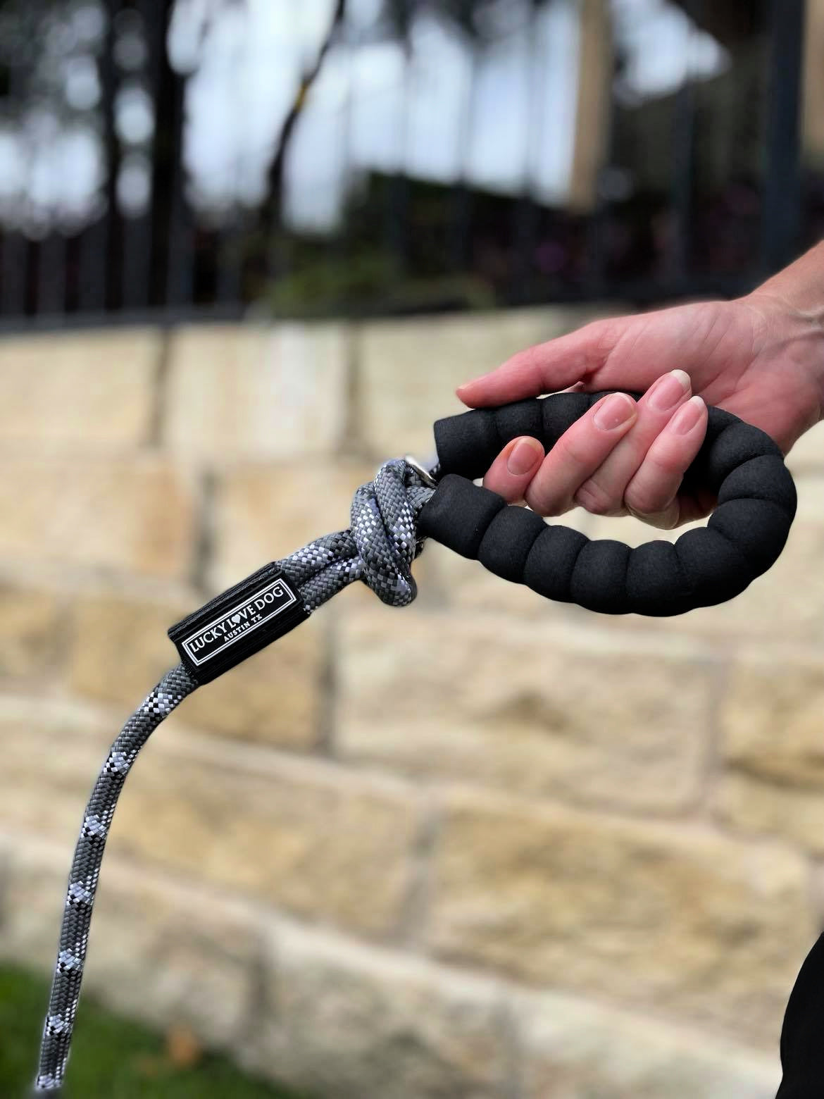 fancy Dog Collar and Leash