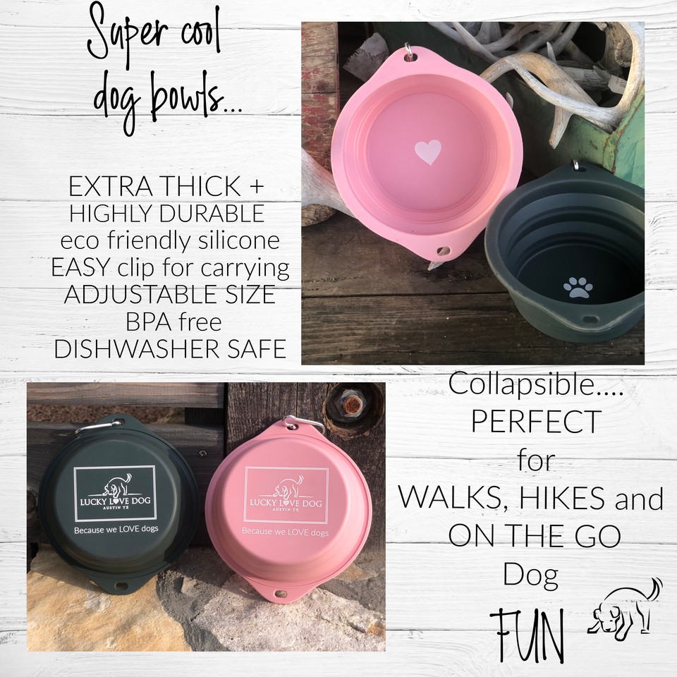 A collage featuring pink and grey collapsible silicone dog bowls with text highlighting their durability, portability, and dishwasher-safe, BPA-free material.