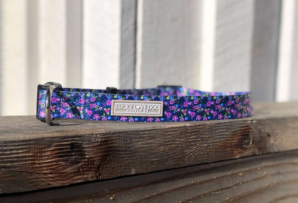 purple floral dog collar on fence