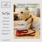 cute plaid dog leash on white dog