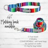 bold fiesta striped martingale dog collar and leash combo
