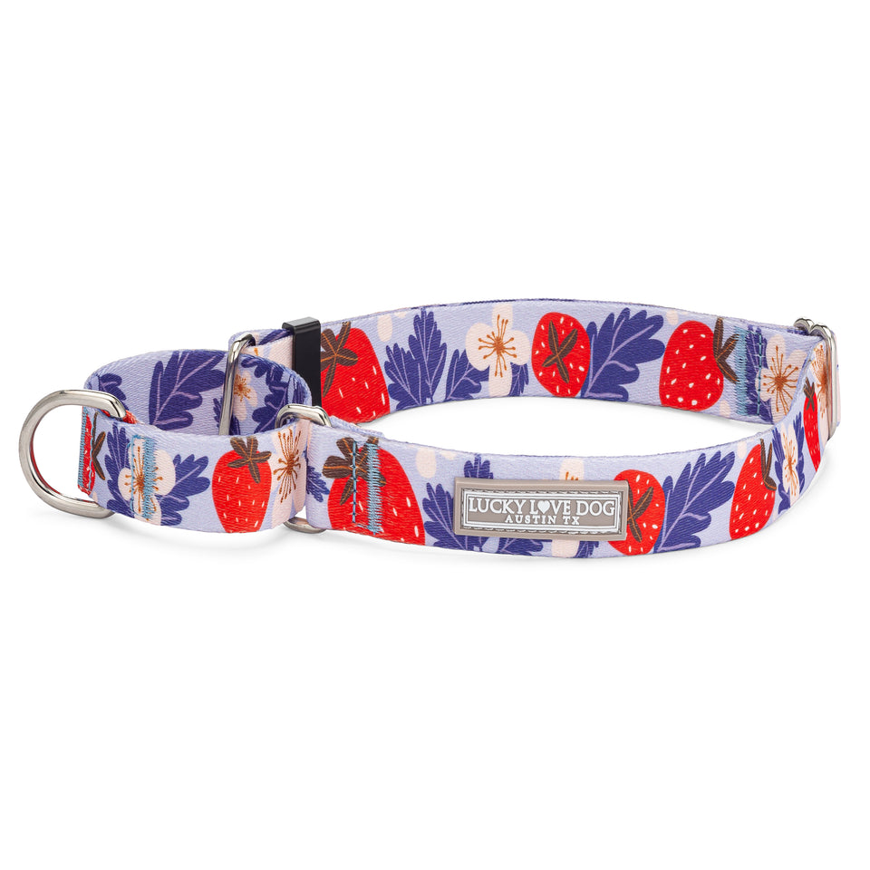 strawberry martingale dog collar on white