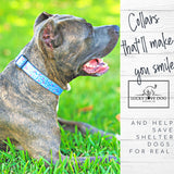 winter blue christmas dog collar graphice